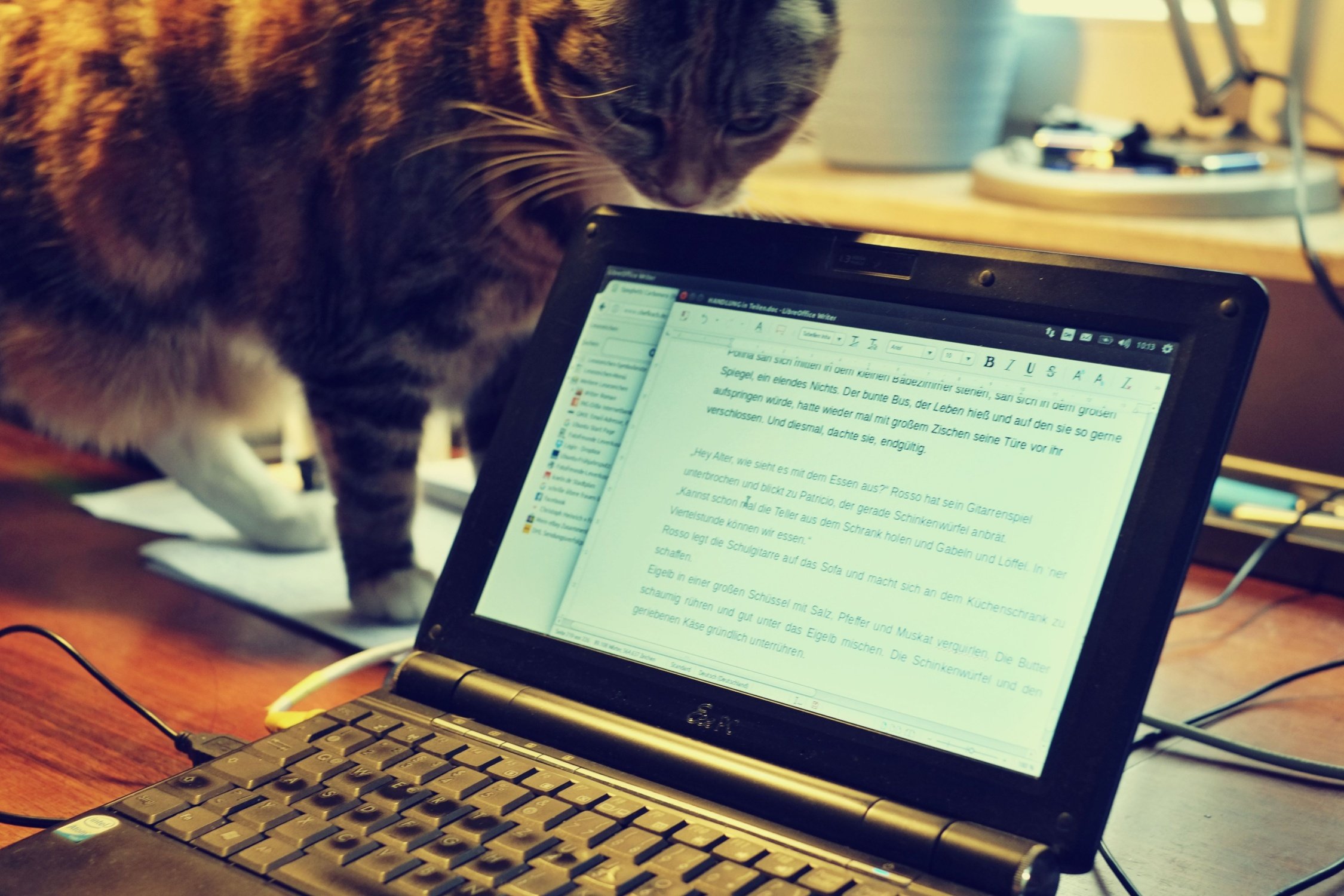 Roman-Katze "Tiewie" - beim Schreiben immer dabei