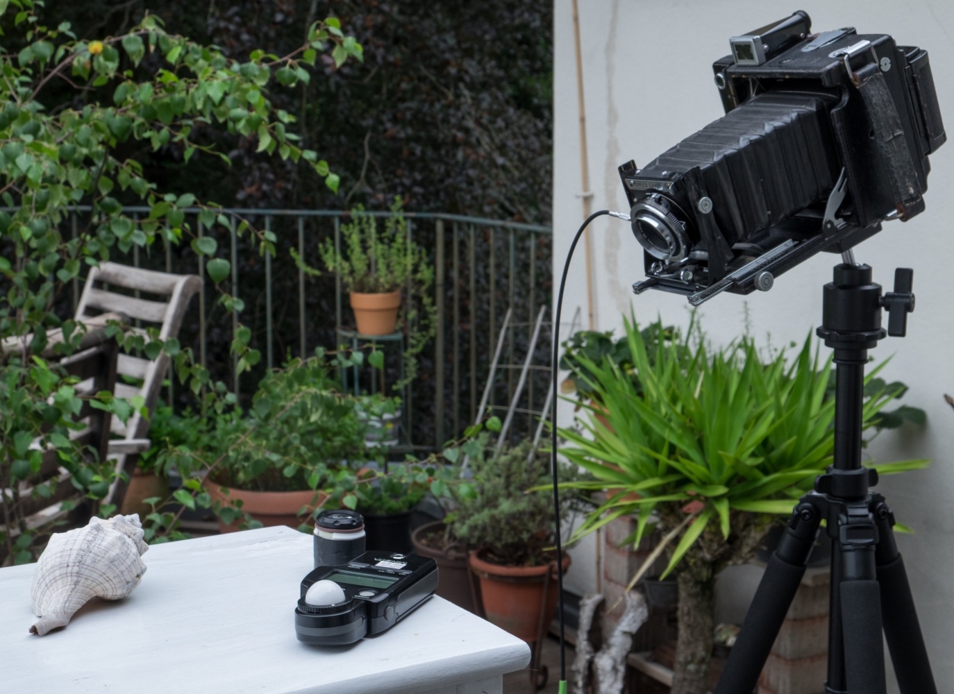 Langer Balgenauszug für Nahaufnahmen und Kippen der Standarte für Schärfendehnung
