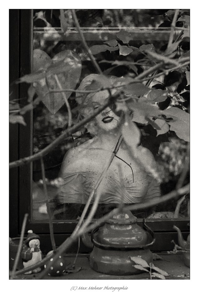 Fenstermotiv - MARILYN