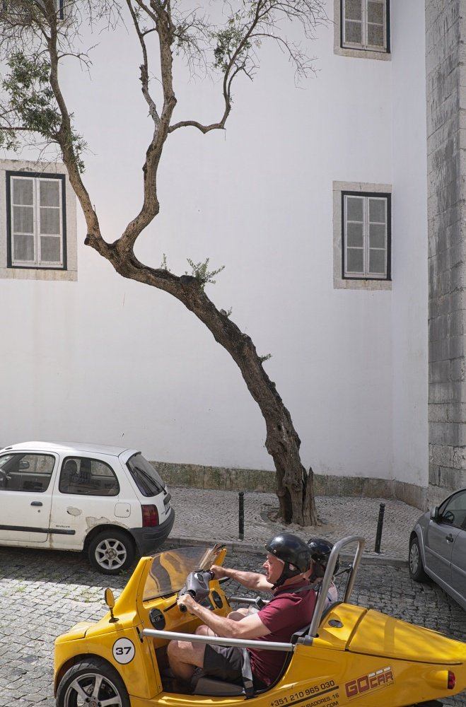 Ab und an schnurrte ein GO-CAR mit "selbst fahrenden" Touristen vorbei...